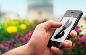advanced conversion in google ads and e-commerce